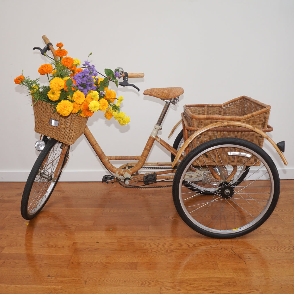 Wicker Bamboo Adult Tricycle foley cox HOME